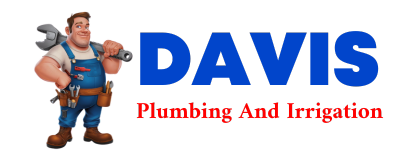 Trusted plumber in DAVISTON